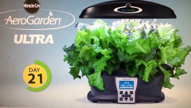 Amazon Indoor Herb Garden Amazon - Miracle-Gro Aerogarden Ultra Indoor Garden With Picture 914