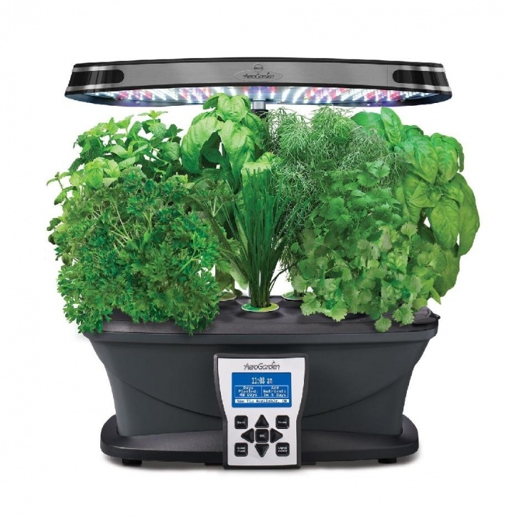 Amazon Indoor Herb Garden Indoor Kitchen Herb Garden Kit - Fresh Ready To Pick Herbs Image 091