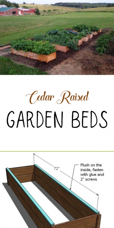 Ana White Raised Garden Bed Cedar Raised Garden Beds Made From Fence Pickets - Single Photo 519