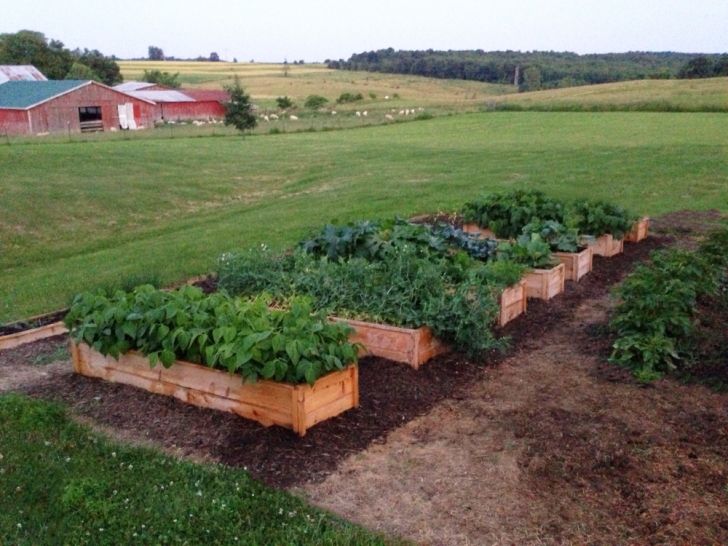 Ana White Raised Garden Bed Pin On Crafty Diy Picture 466