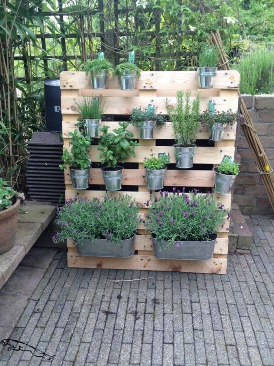 Apartment Balcony Herb Garden 37+ Inspirierende Kleine Balkongarten-Ideen [Home Picture 530