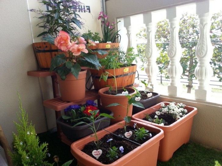 Apartment Balcony Herb Garden Balcony Herb Garden Stainless Steel Watering Can Small Photo 806