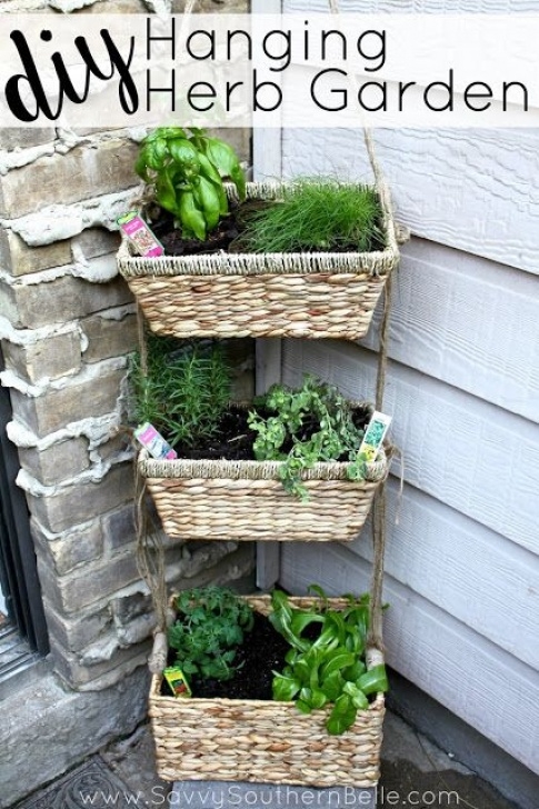 Apartment Balcony Herb Garden Diy Hanging Herb Garden | Apartment Garden | Small Spaces Photo 056