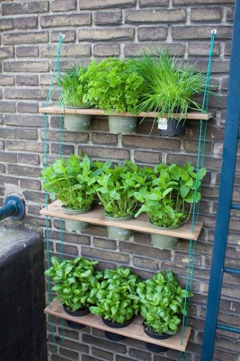 Apartment Balcony Herb Garden Hanging Garden Diy | Balcony Herb Gardens, Outdoor Herb Image 450