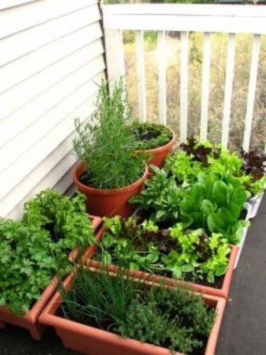 Apartment Balcony Vegetable Garden A Billet Mom Talks About What A Garden Means To Her Image 189