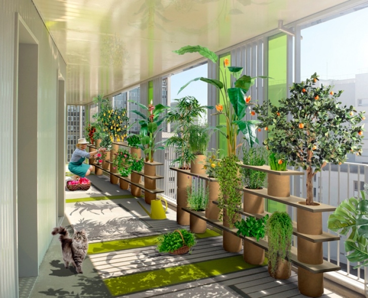 Apartment Balcony Vegetable Garden Indoor Vegetable Gardening - Home Design Elements Image 496