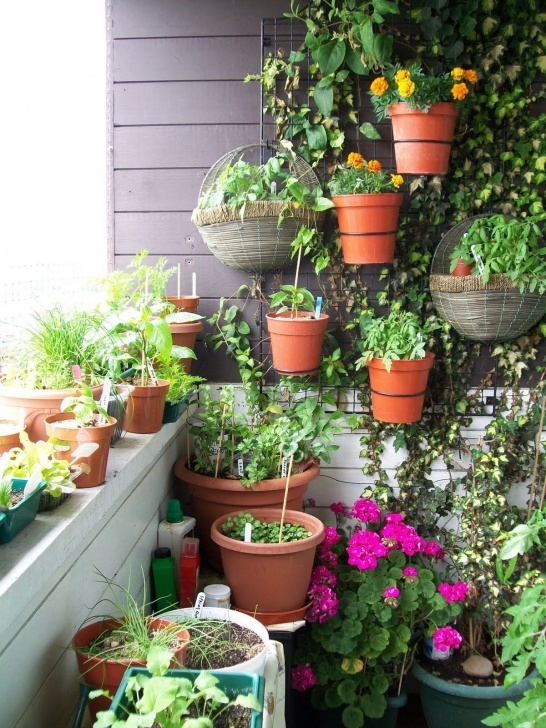 Apartment Balcony Vegetable Garden Vegetable Garden #Pottedvegetablegarden | Small Balcony Picture 483