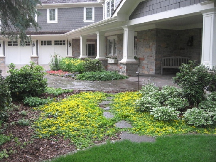 Bachmans Landscape Design Front Yard Landscape - Contemporary - Landscape Picture 886