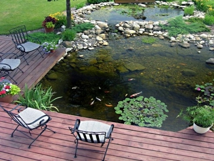 Backyard Koi Pond Designs Backyard Fish Pond Designs, Backyard Pond Designs Koi Pond Picture 893