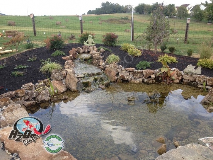 Backyard Koi Pond Designs Koi Pond, Backyard Pond &amp; Small Pond Ideas For Your Photo 750