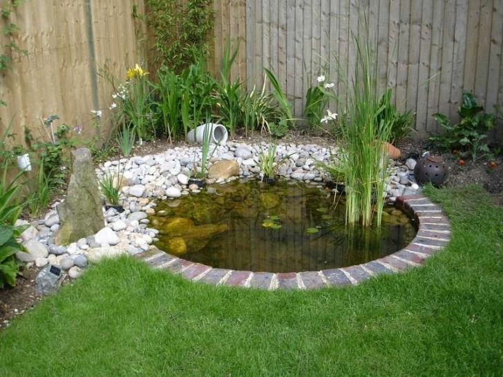 Backyard Koi Pond Designs Small Pond Designs | Garden Pond Design, Ponds For Small Image 663