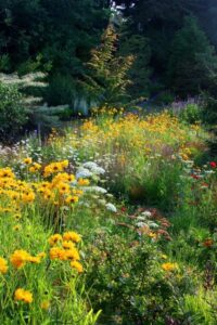 Backyard Prairie Garden 5257 Best Garden And Outdoor Design Images On Pinterest Image 530