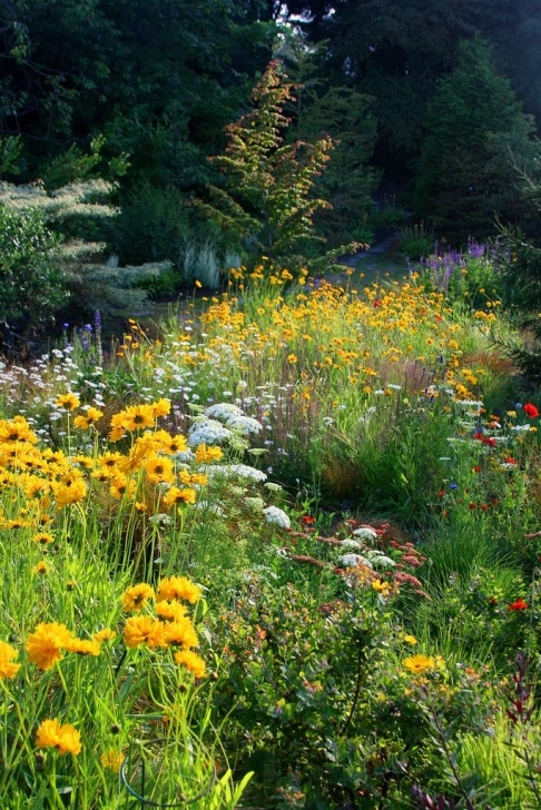 Backyard Prairie Garden 5257 Best Garden And Outdoor Design Images On Pinterest Image 530