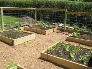 Backyard Raised Garden Beds Glasderbuilding: Raised Bed Gardening: Beautiful And Organized Picture 164 Backyard Raised Garden Beds Glasderbuilding: Raised Bed Gardening: Beautiful And Organized Picture 164