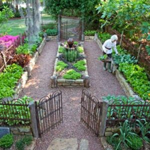 Backyard Vegetable Garden Design 68 Best Raised Bed Gardens Images On Pinterest | Gardening Photo 499