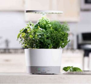 Bed Bath Beyond Aerogarden Grow Fresh Veggies From Your Kitchen Counter With This Picture 160