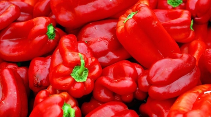 Bell Pepper Companion Plants 32 Companion Plants To Grow With Your Peppers | Companion Picture 901