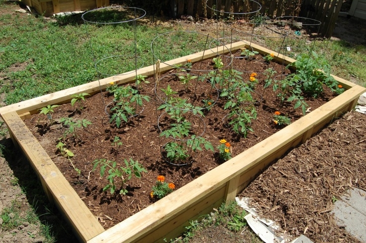 Best Bagged Soil For Vegetable Garden The Conservatory: Simple Soil Recipe For Raised Beds Photo 108