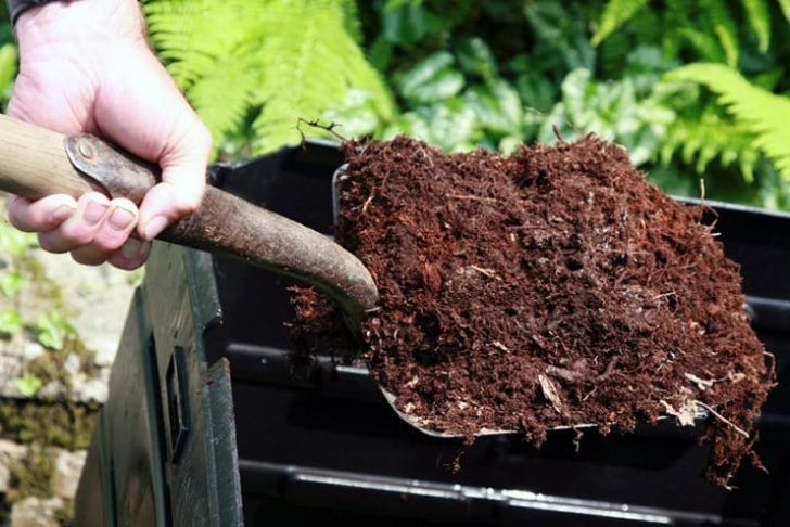 Best Compost For Vegetable Garden 11 Best Composting Tips To Create A Perfect Compost Photo 123