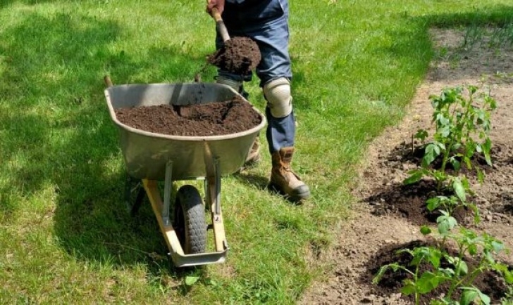 Best Compost For Vegetable Garden 7 Tips For Making And Using Compost In The Garden Picture 687