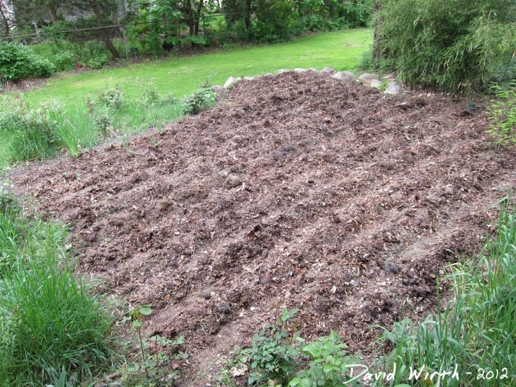 Best Compost For Vegetable Garden Backyard Vegetable Garden - 2012 Image 191