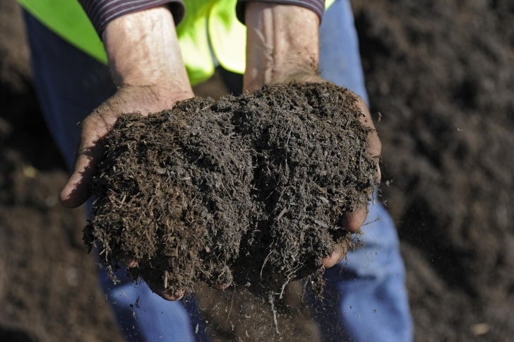 Best Compost For Vegetable Garden Where To Buy Top Soil And Compost In Bulk Image 653