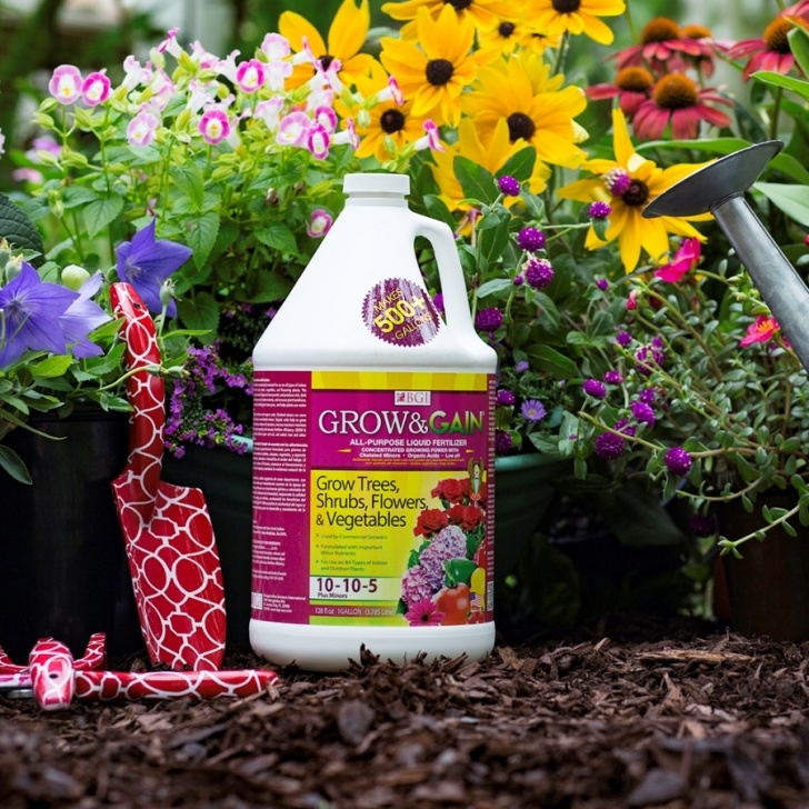 Best Fertilizer For Plants Grow &amp; Gain® – Bgi Premium Plant Foods Picture 339