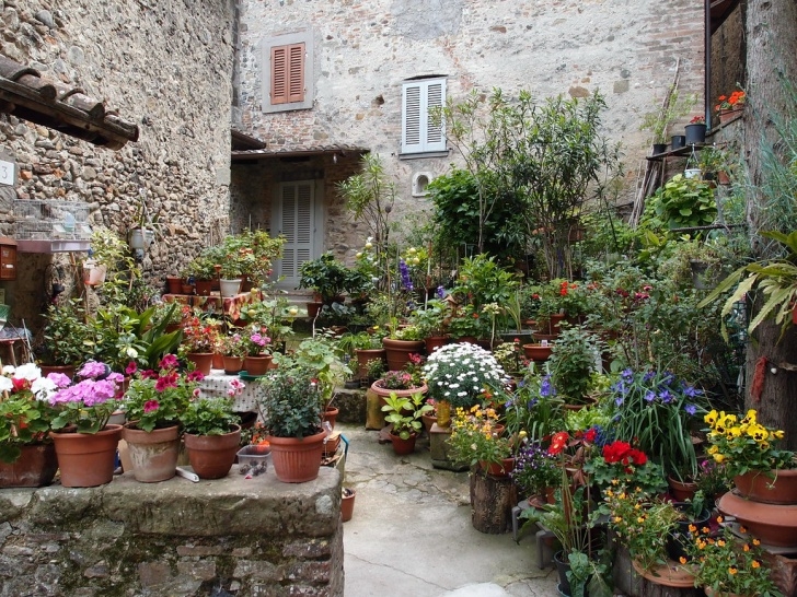 Best Flowers For Vegetable Garden Italian Garden | Adam Heath | Flickr Image 882
