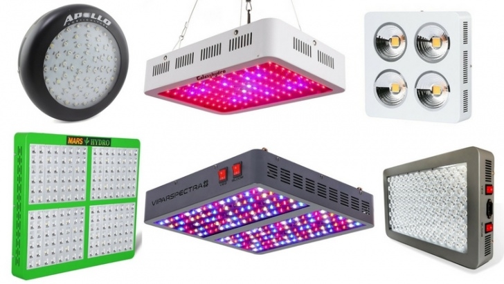 Best Grow Light Bulbs Best Led Grow Lights For Weed 2020 | Reviews By (Experts Photo 681