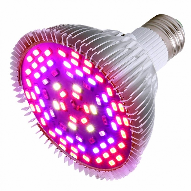 Best Grow Light Bulbs For Indoor Plants Best 5 Led Grow Lights For Indoor Plants Reviews &amp; Buyers Photo 836