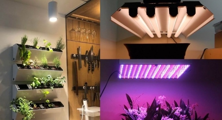Best Grow Light Bulbs For Indoor Plants Best Lights For Growing Plants Indoors - Soltech Solutions Photo 824