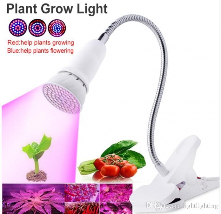 Best Grow Light Bulbs For Indoor Plants Cheap =1Lamp+1Clip Led Grow Lights E27 Spectrum Indoor Photo 627