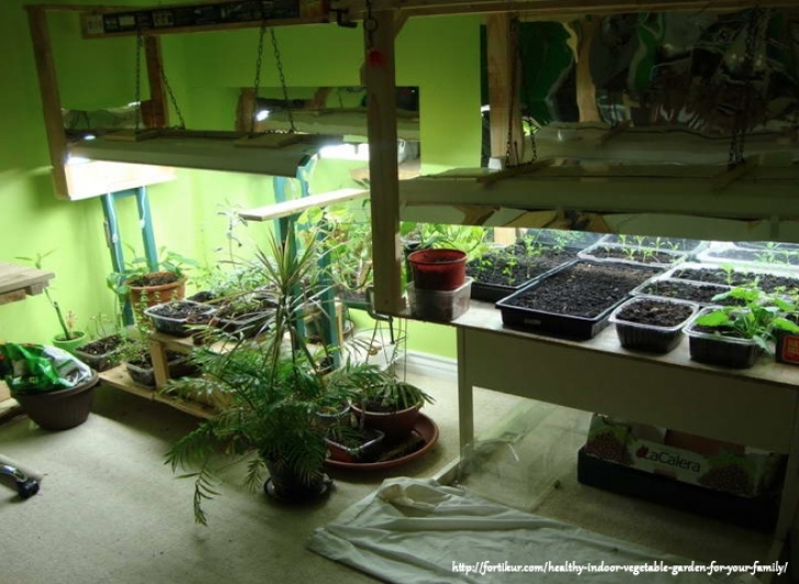 Best Grow Light Bulbs For Indoor Plants How To Select The Best Grow Light For Indoor Growing Photo 699