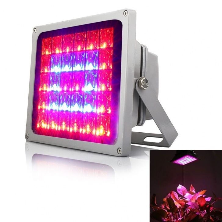 Best Grow Light Bulbs For Indoor Plants Led Grow Light 60W Red+Blue Best For Indoor Greenhouse Photo 852