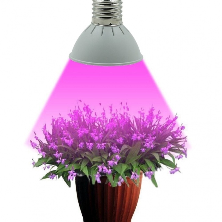 Best Grow Light Bulbs Full Spectrum E27 10W 86Red&amp;20Blue Led Grow Lights Image 241