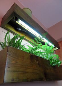 Best Grow Lights For Herbs Kitchen Grow Light Shelves For Herbs | Indoor Grow Lights Photo 450