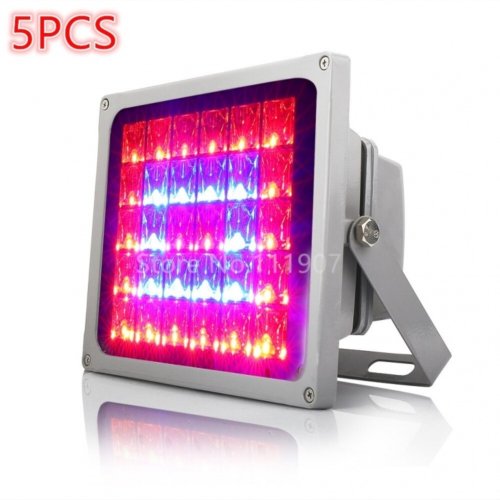 Best Grow Lights For Vegetables 5Pcs 60W Led Flood Grow Light Best For Greenhouse Image 377