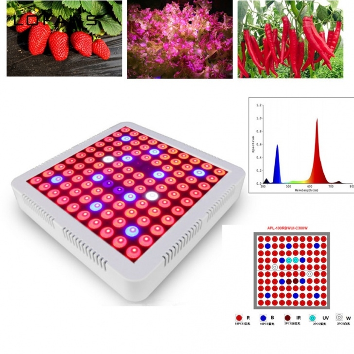 Best Grow Lights For Vegetables Led Grow Light Full Spectrum Indoor Grow Vegetable Flower Photo 288