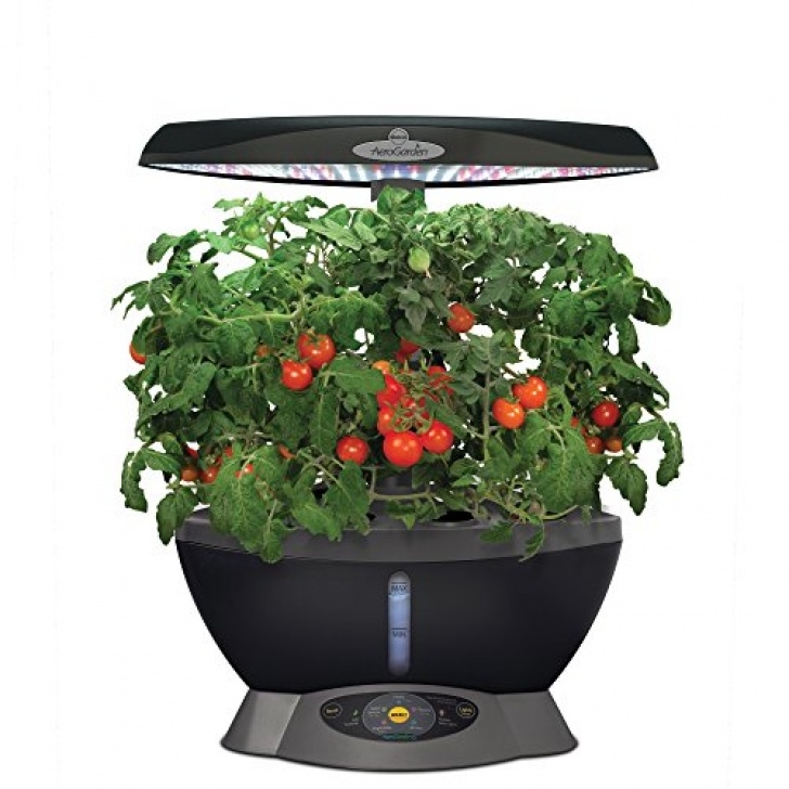 Best Herbs For Aerogarden Aerogarden Classic 6 With Gourmet Herb Seed Pod Kit - Tag Picture 408
