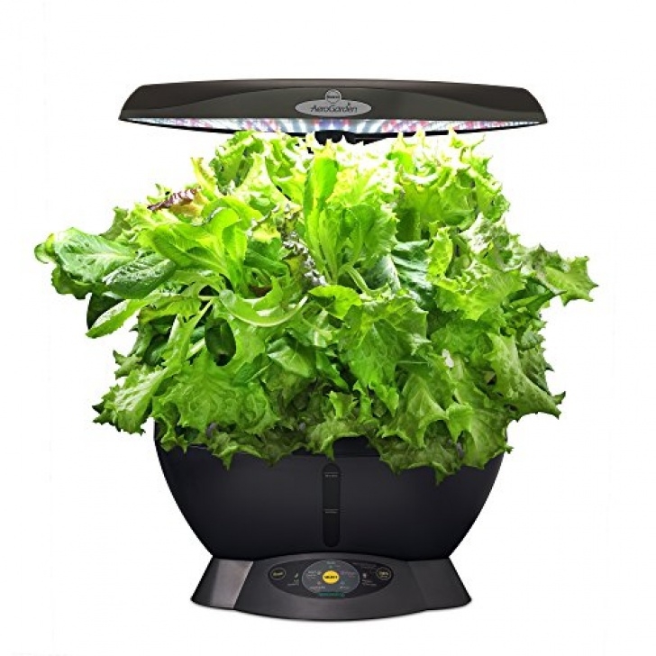 Best Herbs For Aerogarden Aerogarden Classic 6 With Gourmet Herb Seed Pod Kit - Tag Picture 448