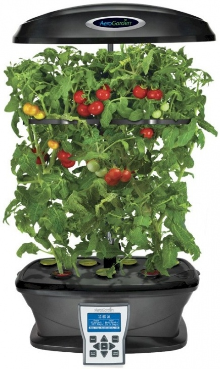 Best Herbs For Aerogarden Aerogarden Ultra W/Gourmet Herb &amp; Grow Anything Kit Picture 158