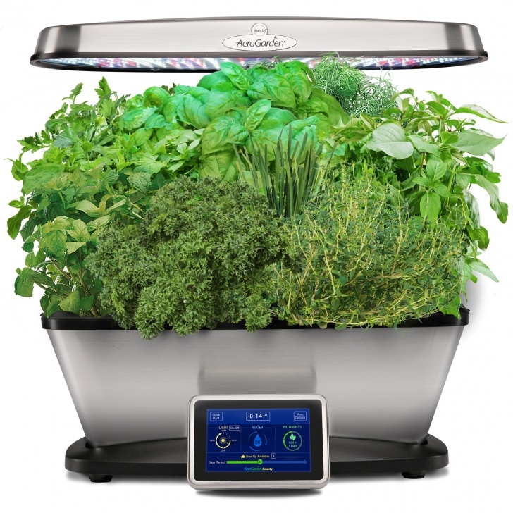 Best Herbs For Aerogarden Miracle-Gro Aerogarden Bounty Elite With Gourmet Herbs Picture 553