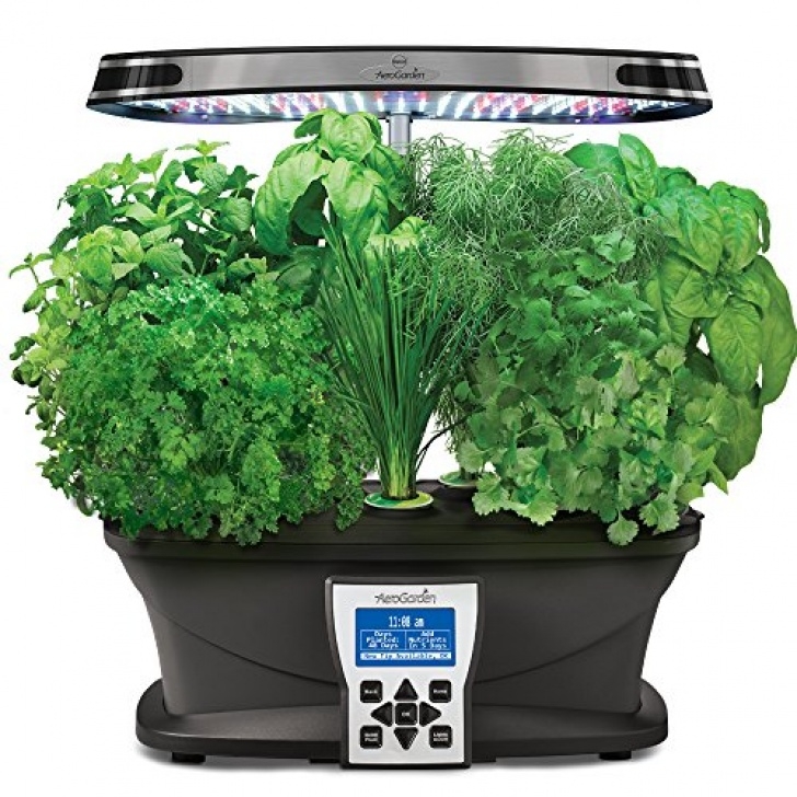 Best Herbs For Aerogarden Miracle-Gro Aerogarden Gourmet Herb Seed Pod Kit (7-Pods Picture 805