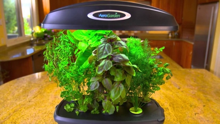 Best Herbs For Aerogarden Miracle-Gro Aerogarden Ultra With Herbs - Youtube Photo 107