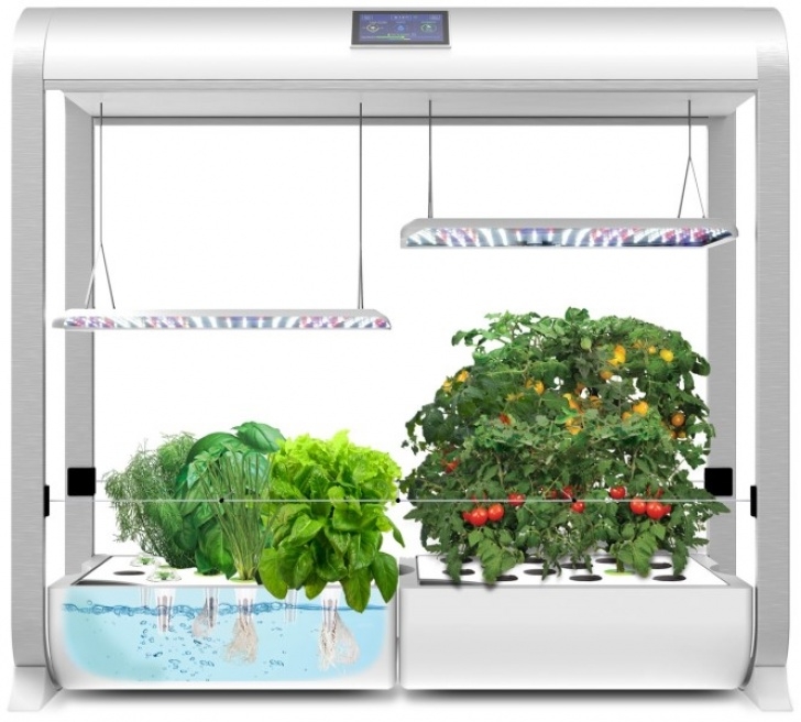 Best Indoor Garden System 10 Best Hydroponic Systems For 2020: Get Started With Image 693