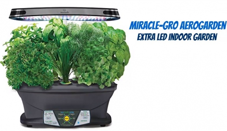 Best Indoor Garden System 10 Best Indoor Garden System In 2019 Photo 520