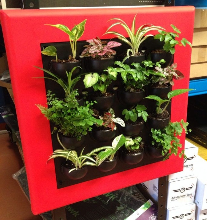 Best Indoor Garden System 14 Best Flowall Indoor Vertical Garden System Images On Image 453