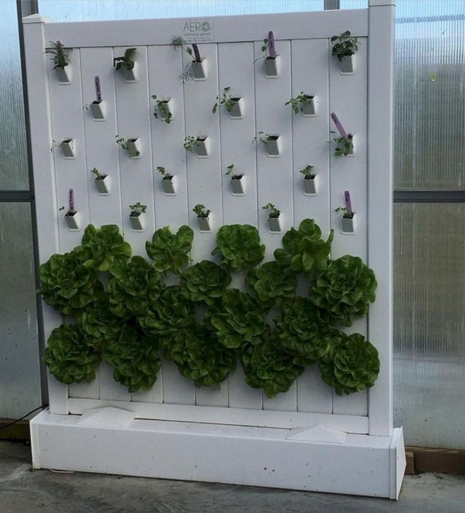 Best Indoor Garden System 22 Awesome Indoor Hydroponic Wall Garden Design Ideas Picture 599