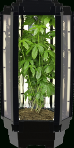 Best Indoor Garden System Aspiring Chef Wins Indoor Growing System Grand Prize In Photo 861
