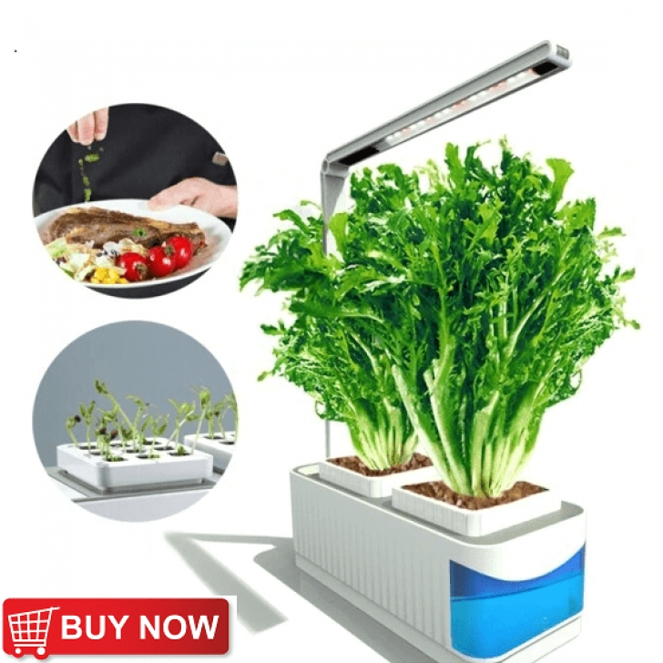 Best Indoor Garden System Best Indoor Hydroponic Garden Kits - Sure Top Yields Image 311
